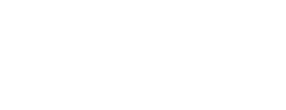 Mettler Toledo